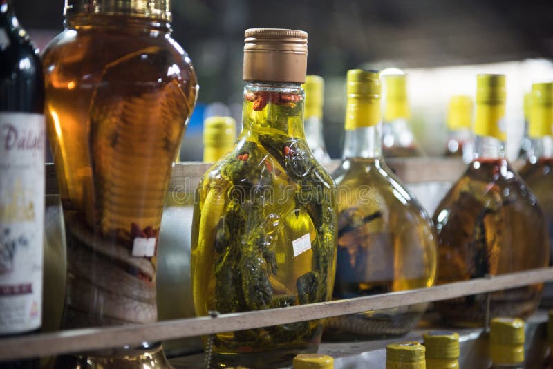 Vinos de la serpiente que son vendidos fotografía de archivo Vinos de la serpiente que son vendidos fotografía de archivo