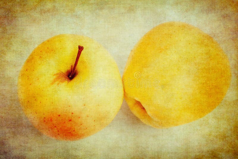 Vintage Apples