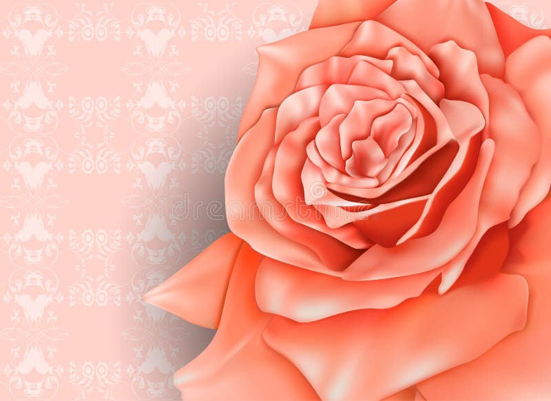 Vintage background with beautiful pastel rose