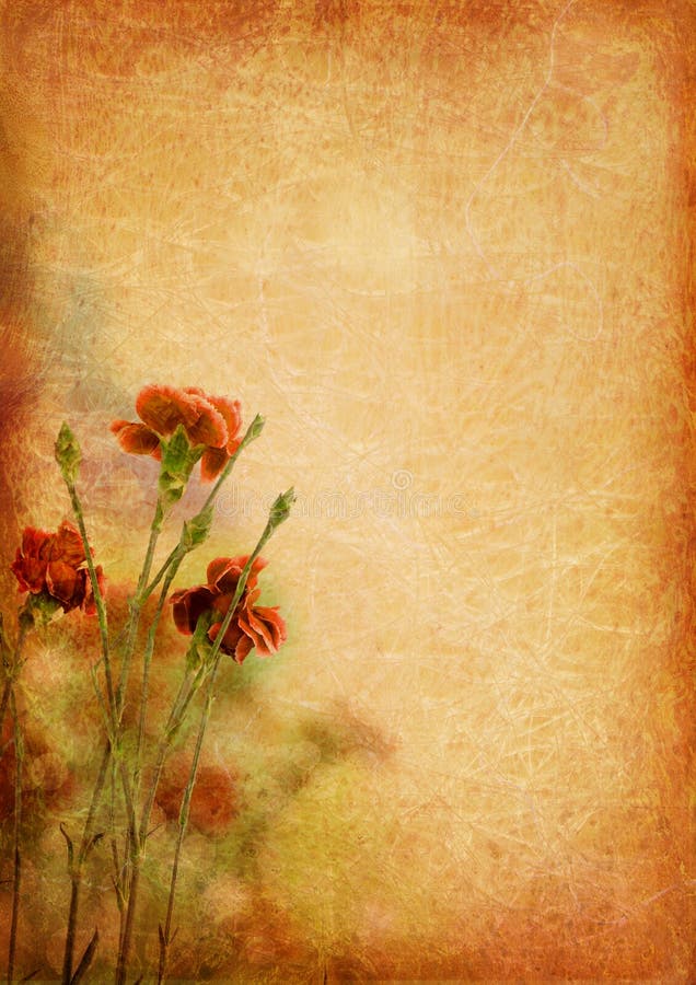 Vintage background with carnation flowers