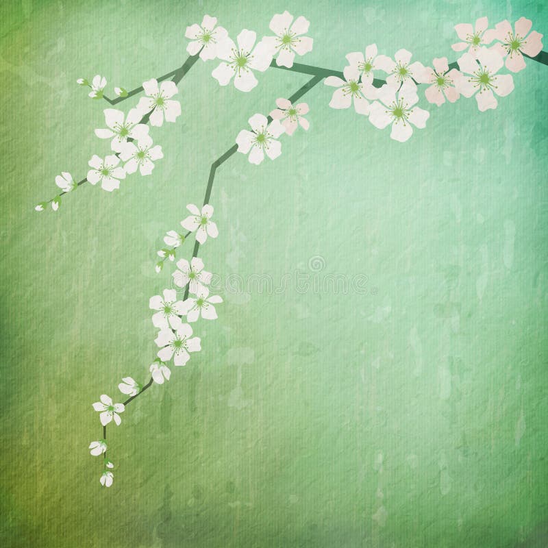 Vintage background with cherry blossoms branch