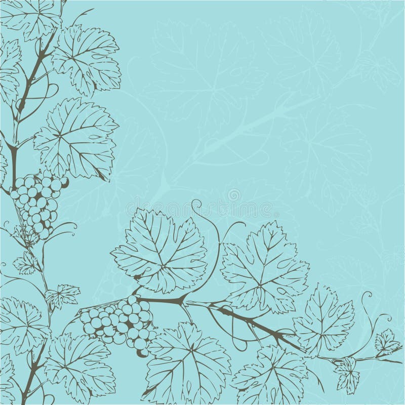 Vintage background with grape branch