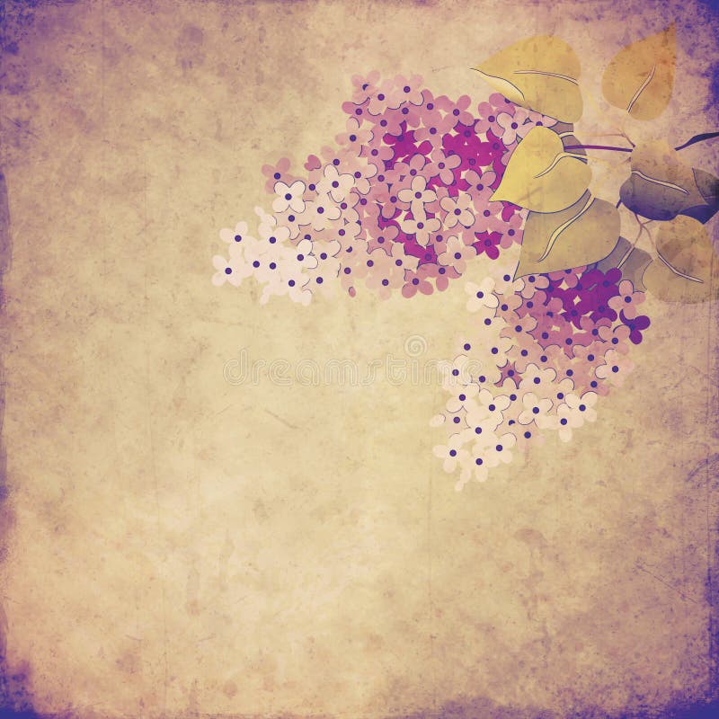 Vintage Background With Lilac Branch Stock Illustration Illustration