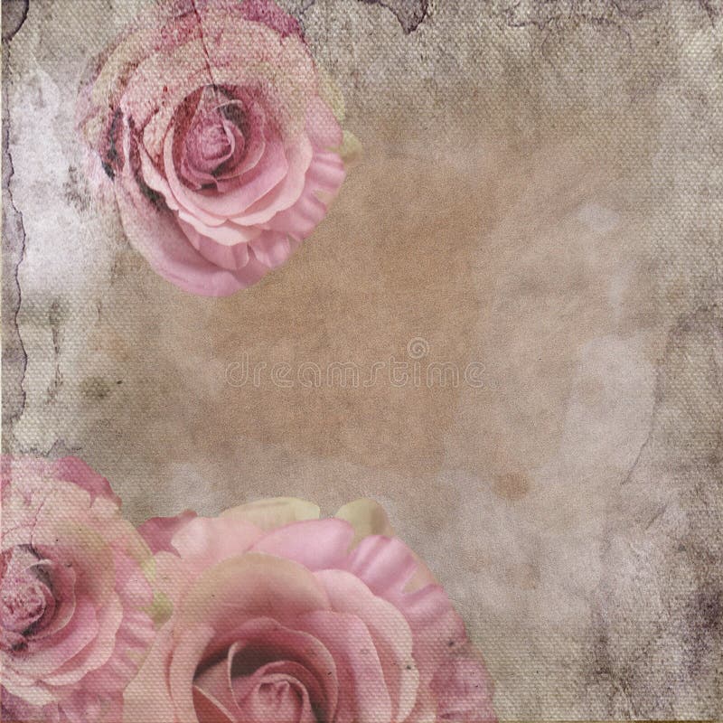 Vintage background with roses