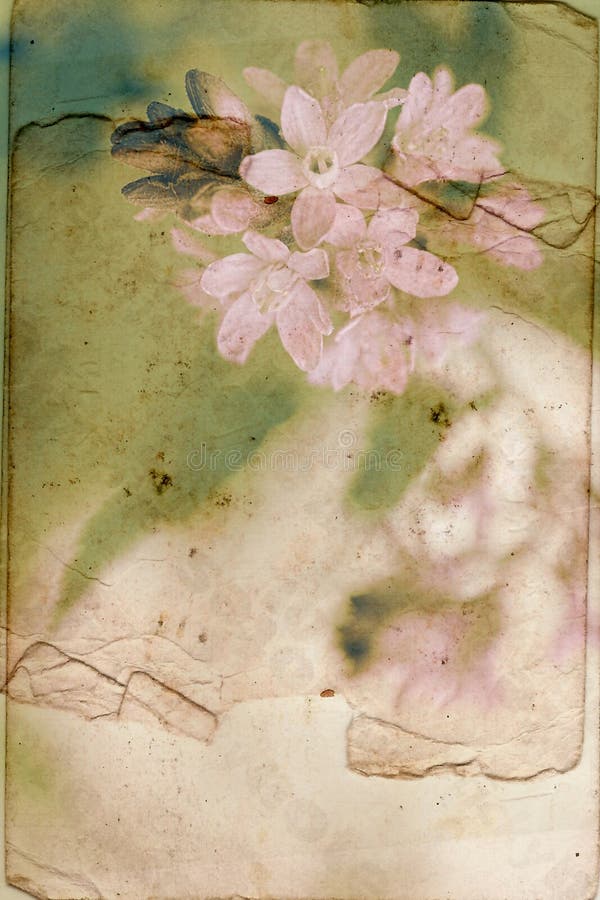 Vintage background with Spring flowers stock image