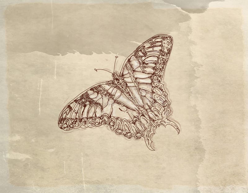 Vintage Base with Butterflies that Fly Stock Illustration