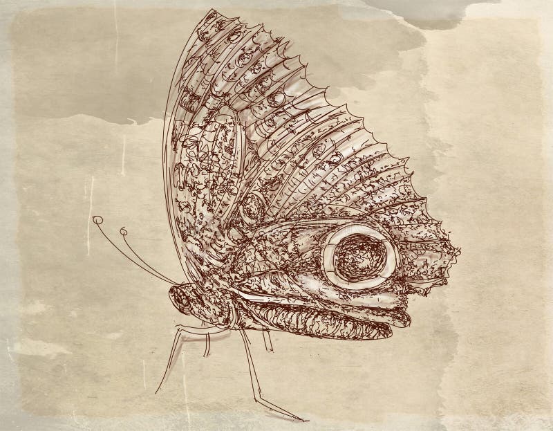 Vintage Base with Butterflies that Fly Stock Illustration