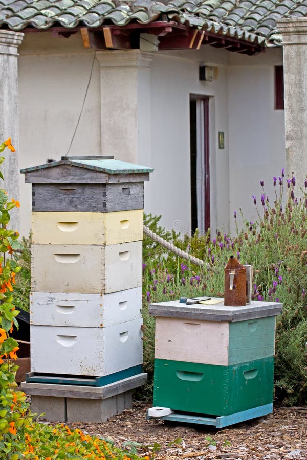 332 Vintage Beekeeping Equipment Stock Photos Free & RoyaltyFree Stock Photos from Dreamstime