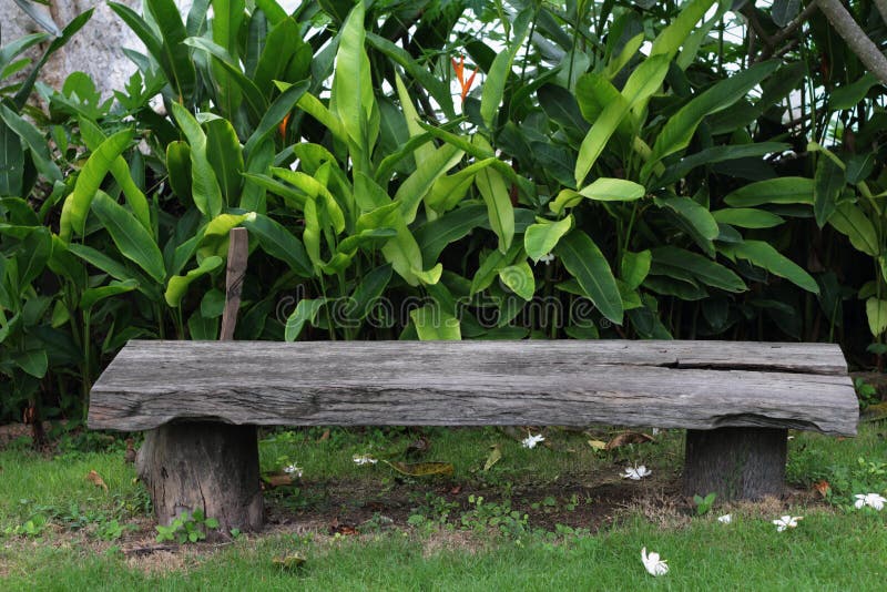 Vintage Bench Chair at the Nature Stock Photo Image of landscaped