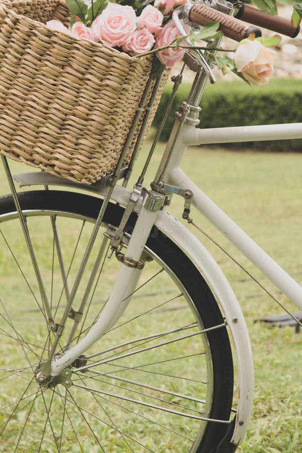 Vintage Bicycle with Flower in Basket Stock Photo Image of hobby