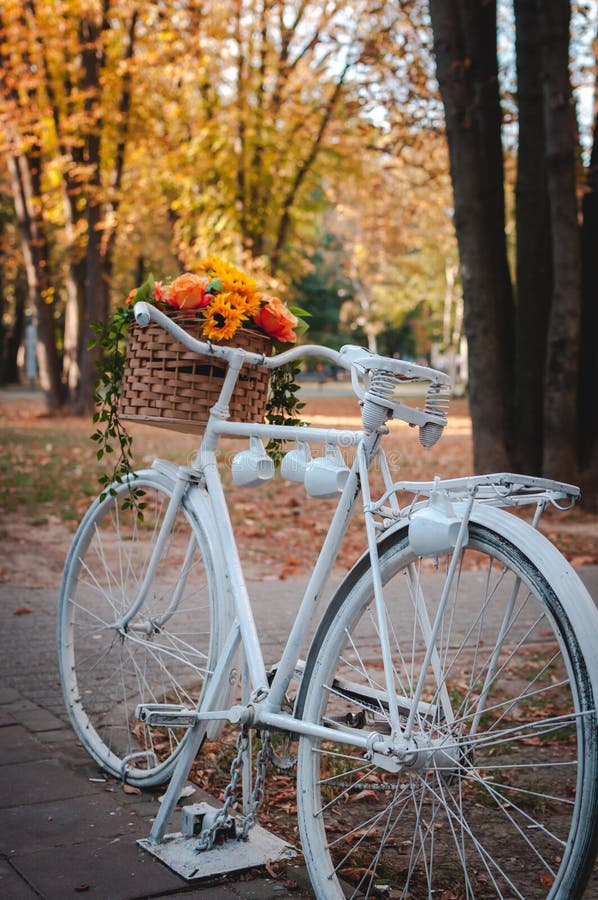 Vintage Bicycle with Flowers on Autumnal Landscape in the Background  