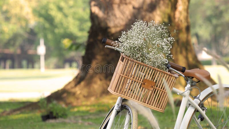 Vintage bike or bicycle and brown color wooden basket