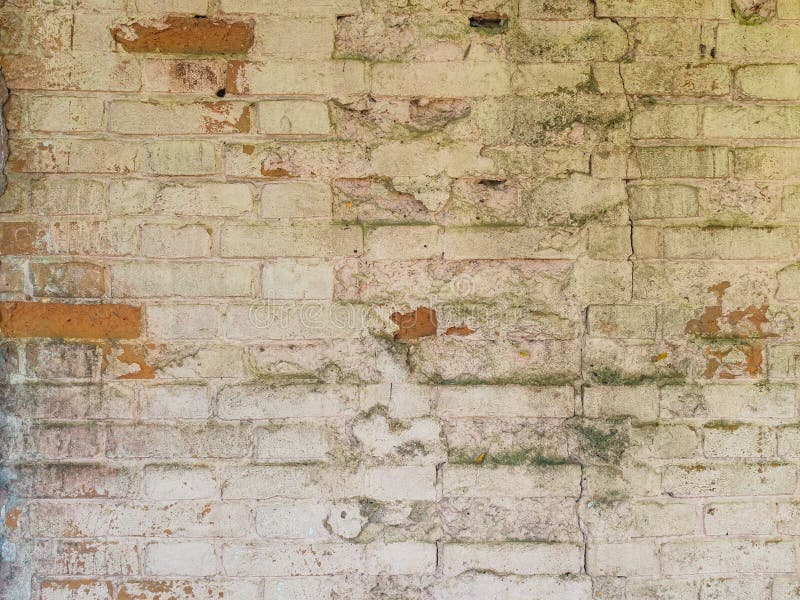 Vintage Brick Wall with Peeling Paint, Cracks, Moss and Mold Close Up