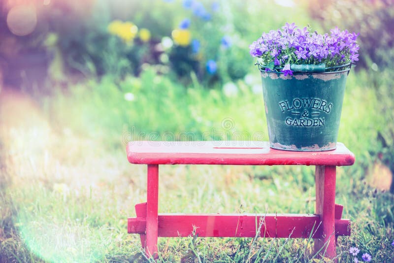 Vintage bucket with garden flowers on red little stool over summer nature background royalty free stock image Vintage bucket with garden flowers on red little stool over summer nature background royalty free stock image