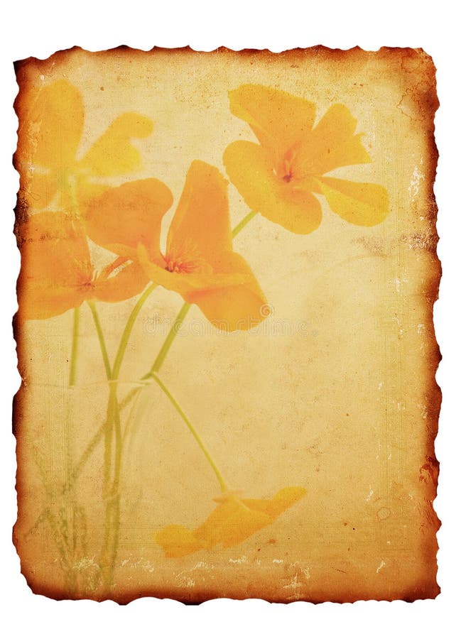 Vintage burned paper background