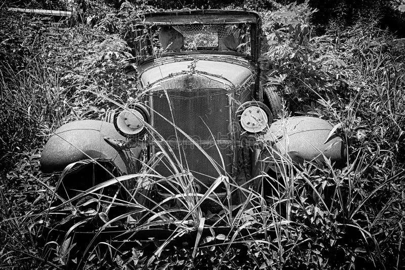 Vintage Car Decaying in Weeds