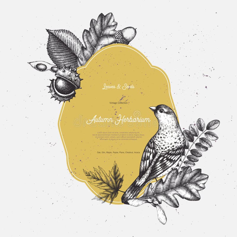 Vintage card design with bird. Hand drawn leaves and seeds illustration. Vector autumn template. Wedding invitation.