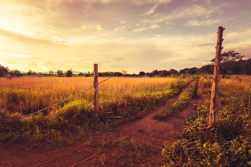 Vintage Countryside at Abandoned Farm royalty free stock image Vintage Countryside at Abandoned Farm royalty free stock image