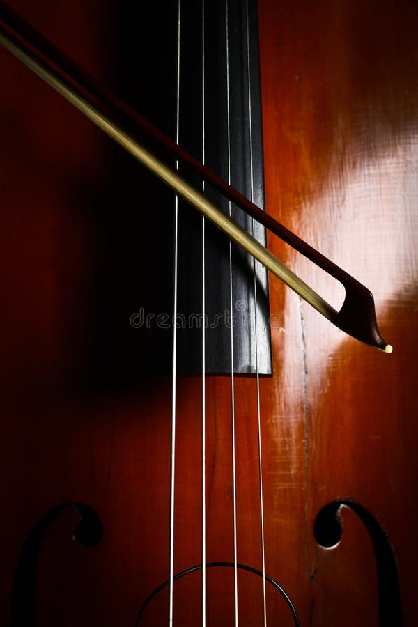 Vintage double bass stock image. Image of doublebass 29050237