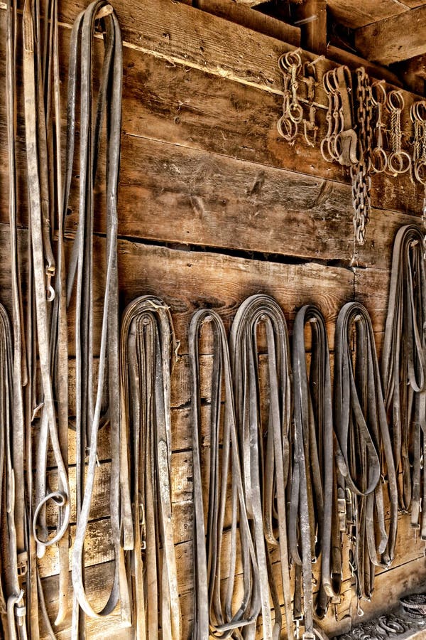 Vintage Draft Horse Harness Reins in Old Tack Room