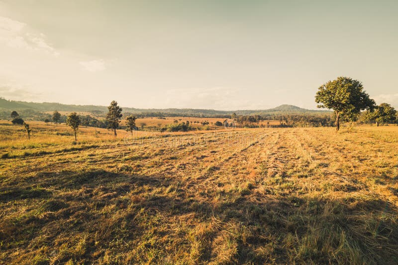 Vintage Field stock image. Image of outdoor, horizontal 86008319