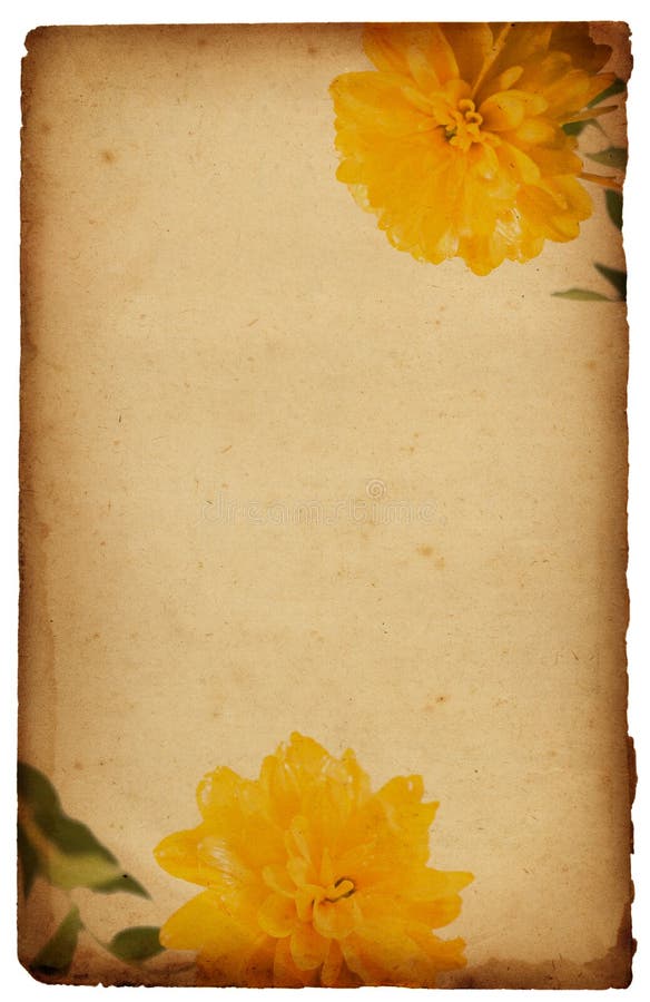 Vintage floral background stock images