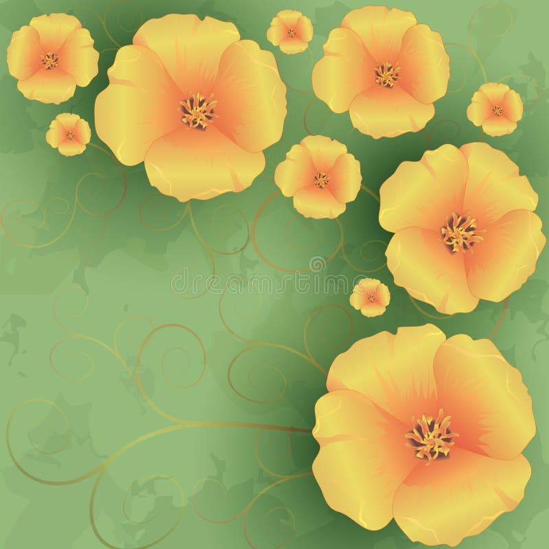 Vintage Floral Background with Flowers Poppies Stock Vector