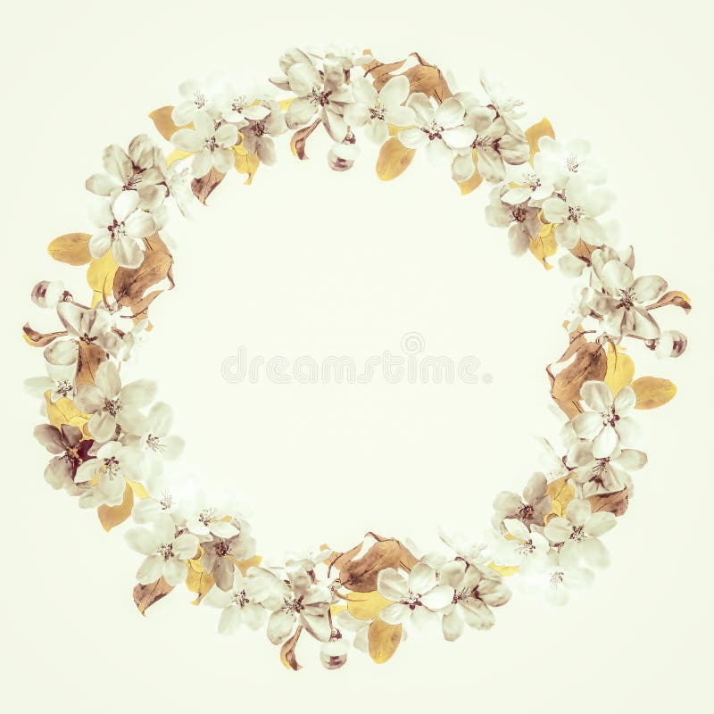 Vintage floral frame with blooming apple tree vector illustration