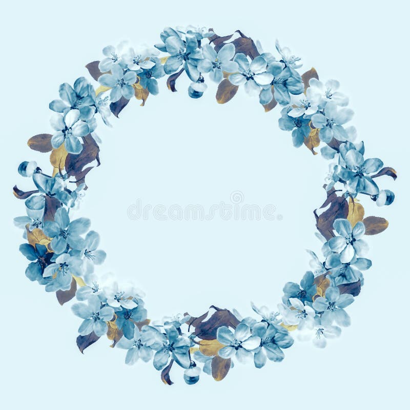 Vintage floral frame with blooming apple tree vector illustration