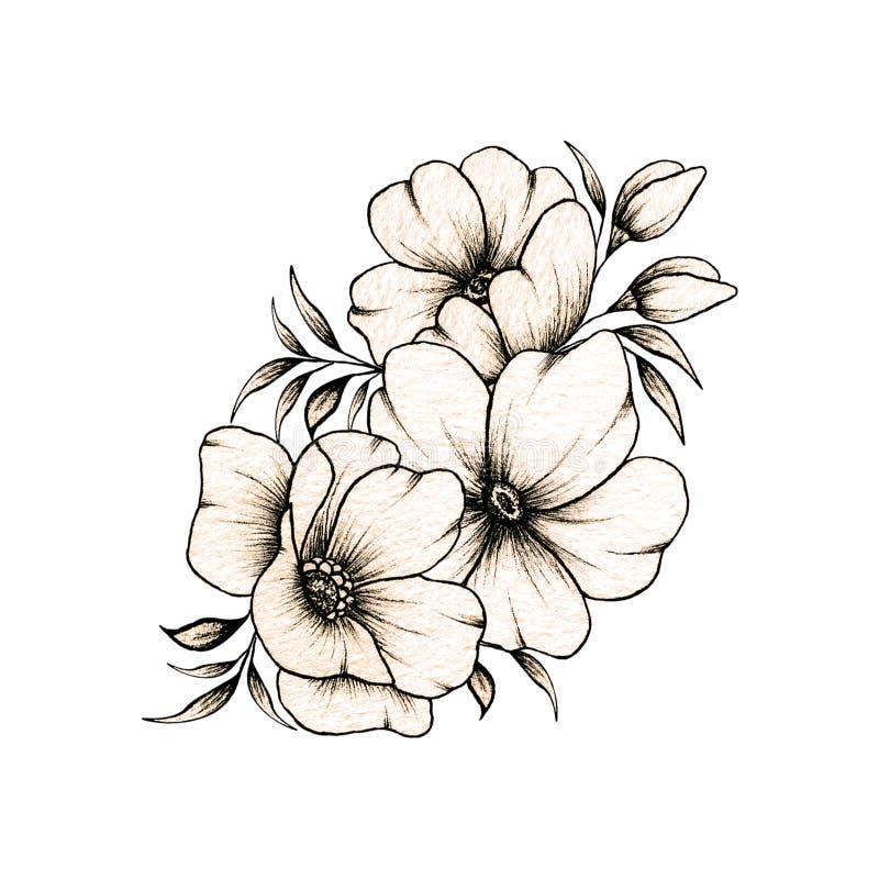 eetbaar Berucht hoofdpijn Vintage Flower Bouquet, Hand Drawn Botanical Illustration with Line Art  Flowers, Black Ink Sketch Florals Great for Tattoo Stock Photo - Image of  drawing, bouquet: 231061636