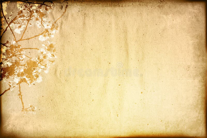 Vintage Flower Paper Background Stock Image - Image of book, leaf: 7179663
