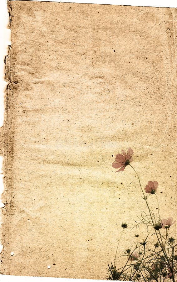 Flower paper textures. stock photo. Image of floral, aging - 11922142