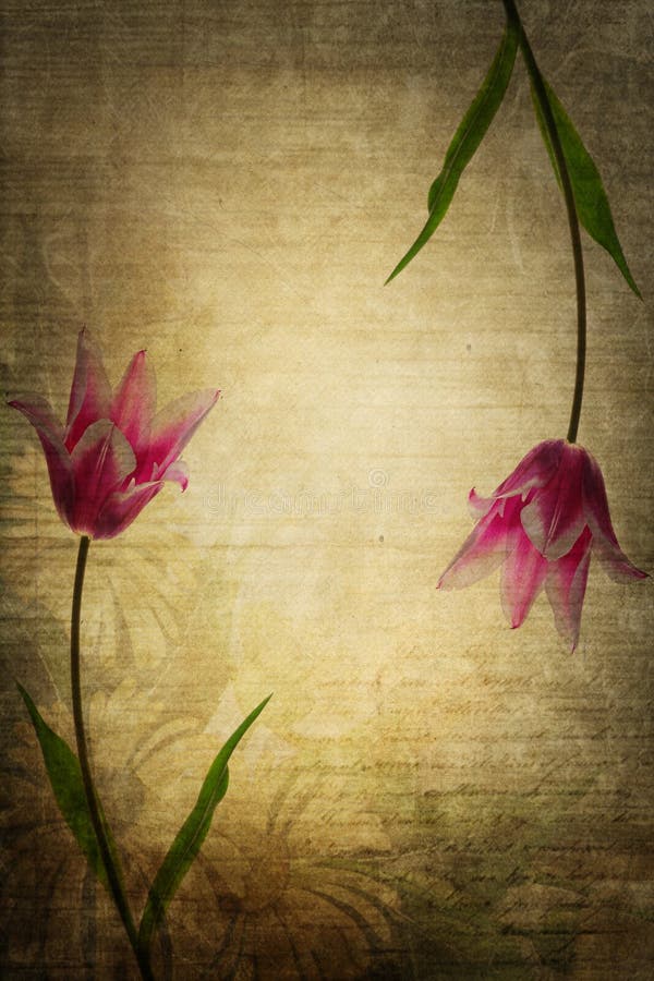 Vintage flowers vector illustration