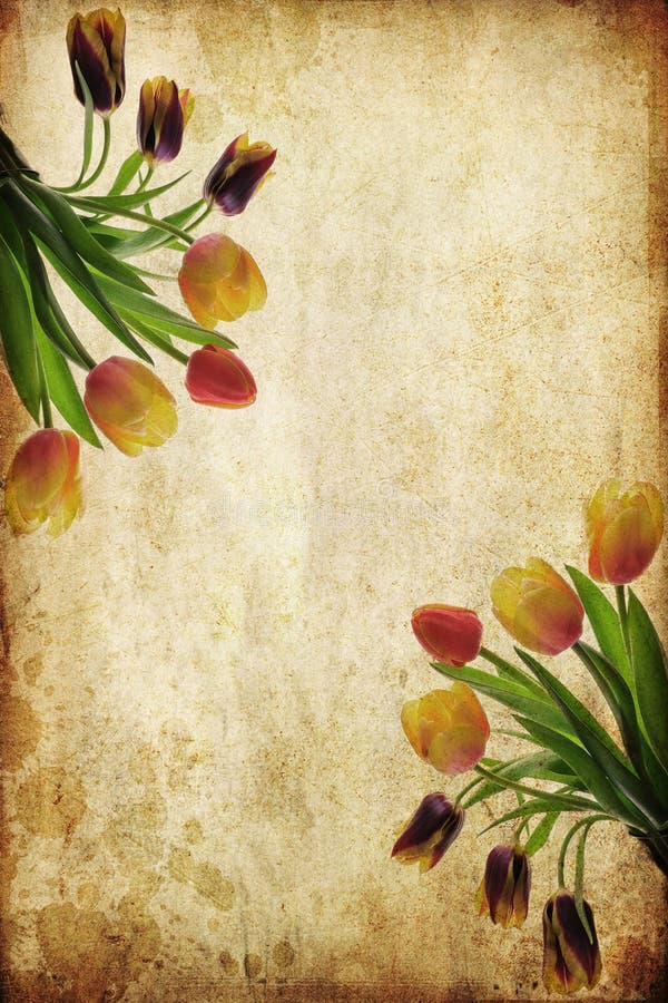 Vintage flowers stock photo