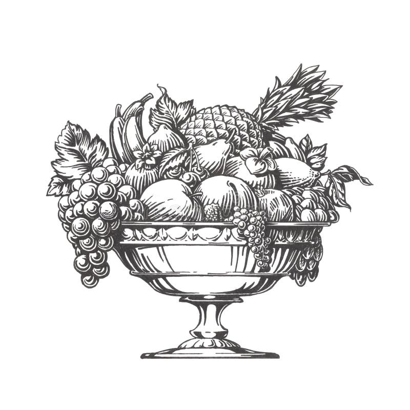 Vintage fruit bowl. Hand drawn sketch illustration