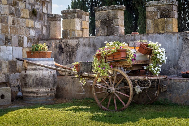 Vintage Garden Cart With Flowers Stock Image Image Of Freshnes