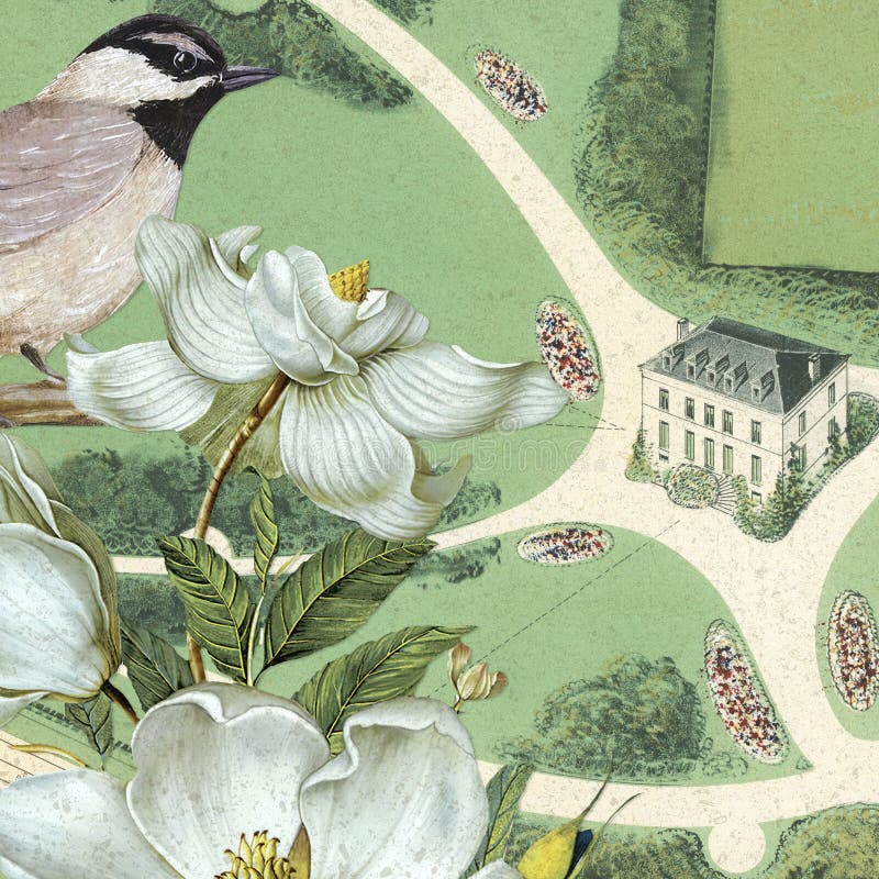 Vintage Garden Collage Background Paper - Watercolor Illustration - Floral Garden Collage - Magnolia and Bird Collage Background