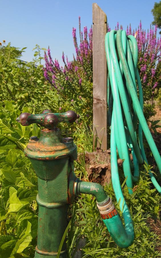 Download Vintage Garden Spigot stock photo. Image of summer, faucet ...