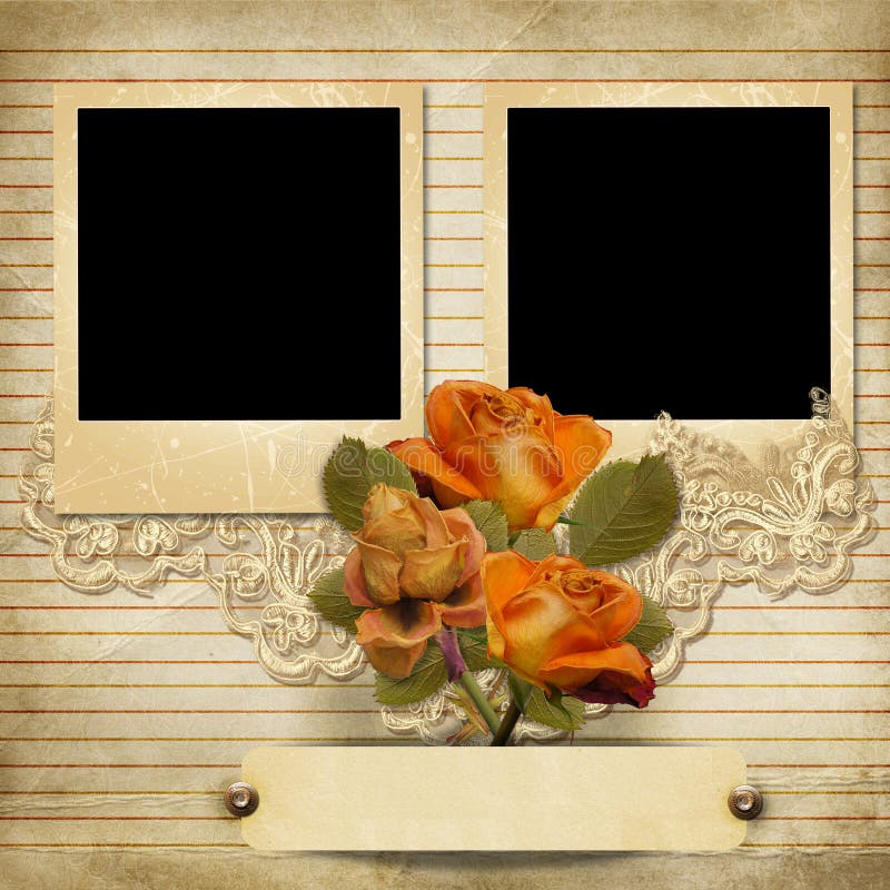 Vintage gorgeous background with a polaroid-frames and a roses