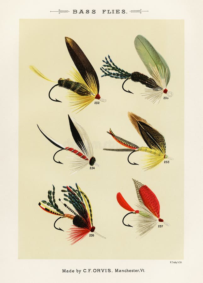 Vintage Illustration of Fly Fishing Hooks. Fly Fishing. Ca. 1890