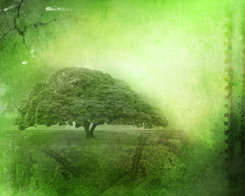 Vintage image of a tree in the field stock images Vintage image of a tree in the field stock images
