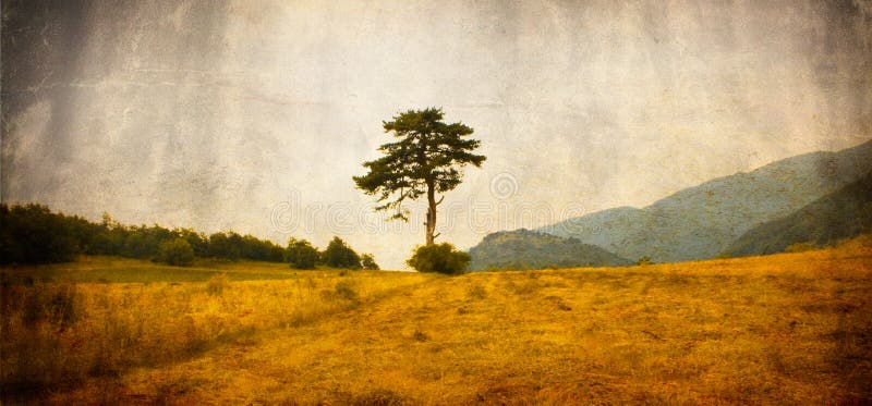 Vintage landscape stock image. Image of outdoors, nature - 23792683