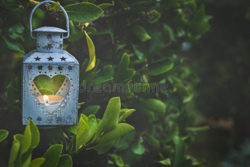 Vintage Metal Heart Shape Candle Holder Lit Burning Flame Hanging on Tree Branch in Garden. Valentine Mother`s Day