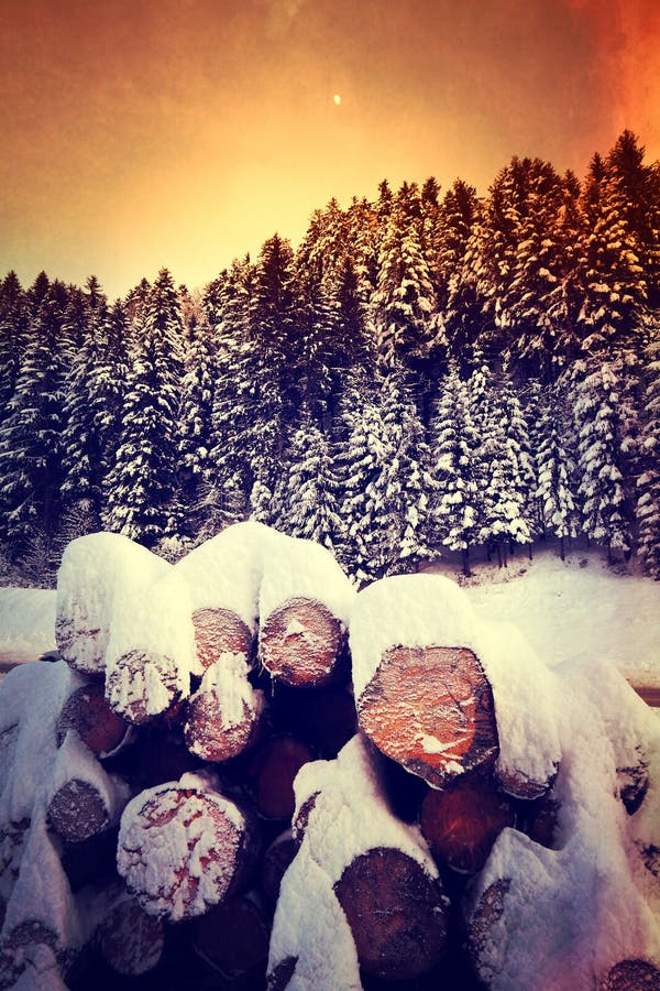 Vintage mountain image stock photo. Image of cold, tree 22788426