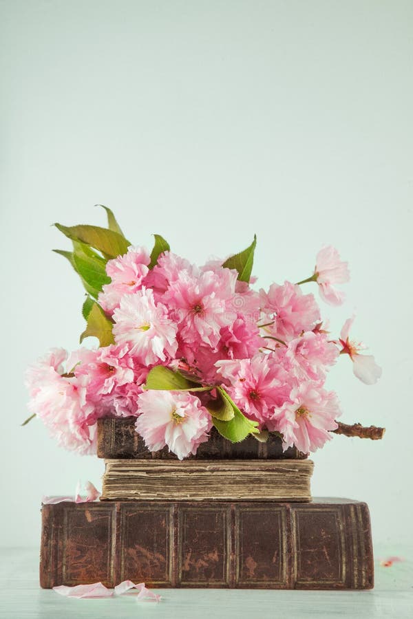 Vintage novel books with bouquet of cherry blossom flowers on white wood background in light pastel colors