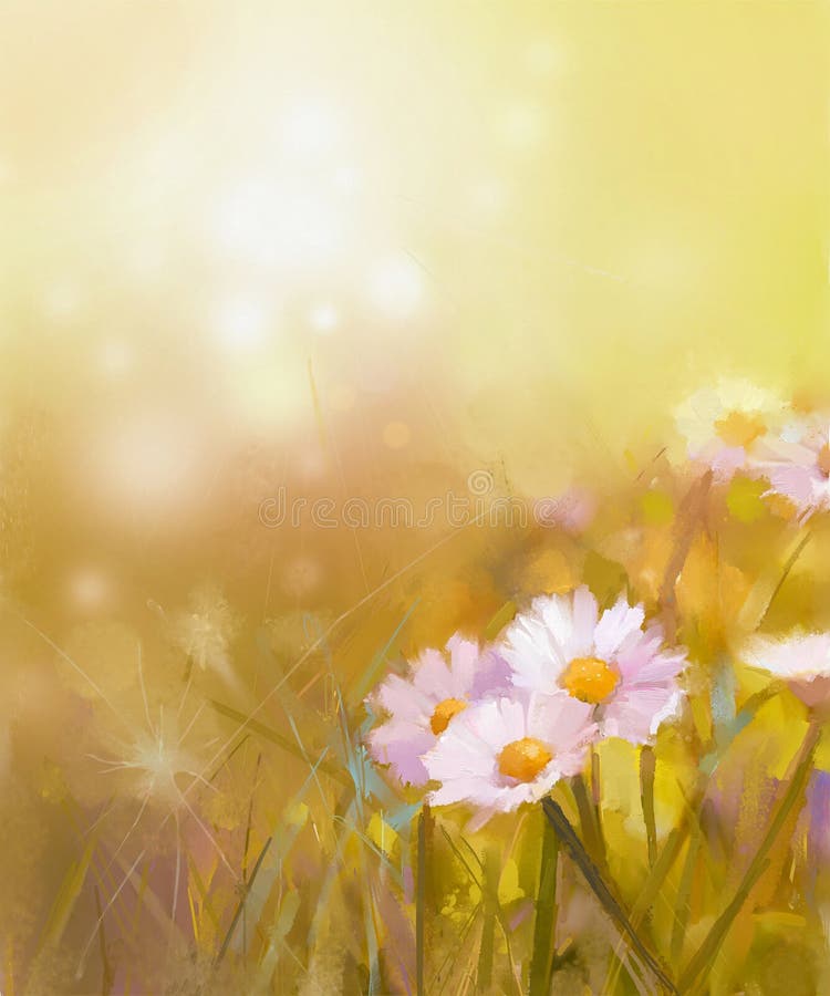 Vintage oil painting daisy-chamomile flowers field stock illustration