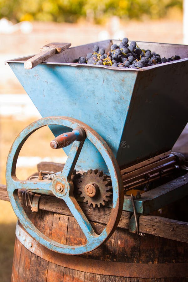 Vintage old grind machine. Homemade ecological wine production