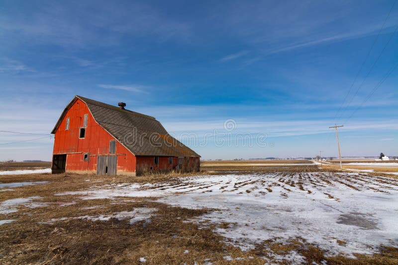 Orange Cat in Barn stock photo. Image of curious, kitten - 26052592