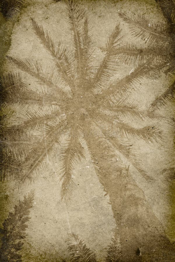 Vintage Palm Tree Imprint Background