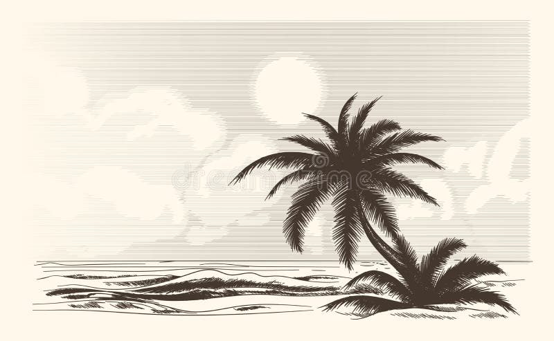 Vintage palm tree sketch stock illustration